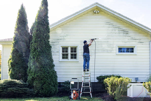 Best Dumpster Area Cleaning  in Amherst, VA